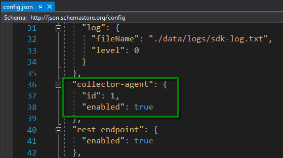 _images/collectorAgentNode.png